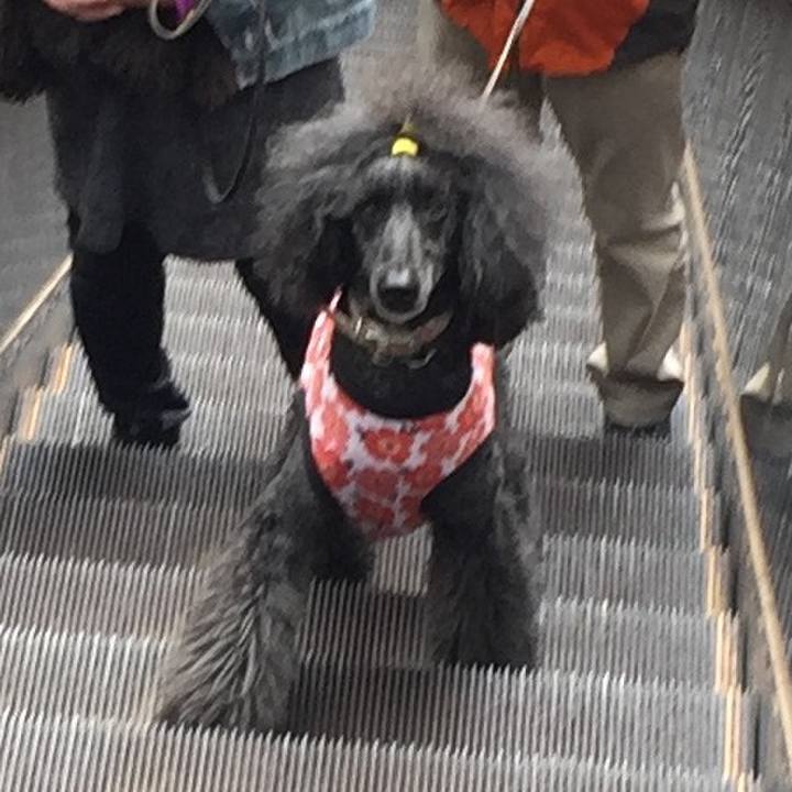 9aceb75f f13f 4e57 96b3 500f62244b93