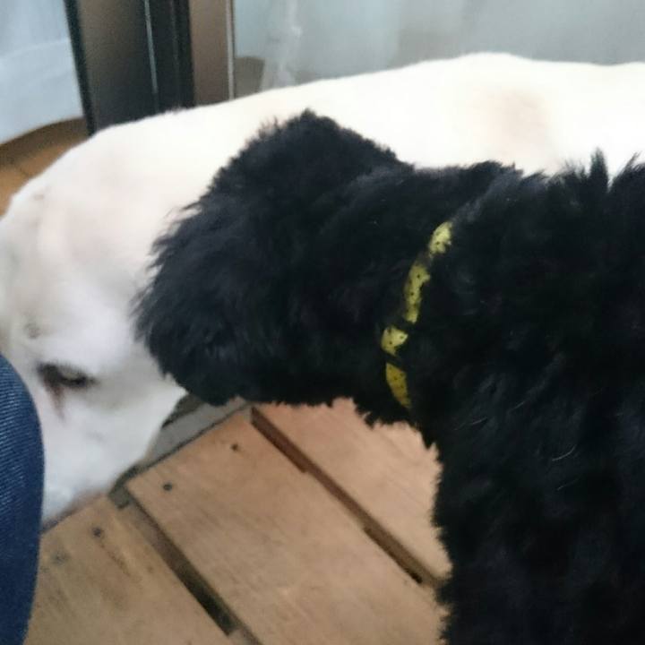 9acec42e 821f 41ca ba80 e7f731863d6d