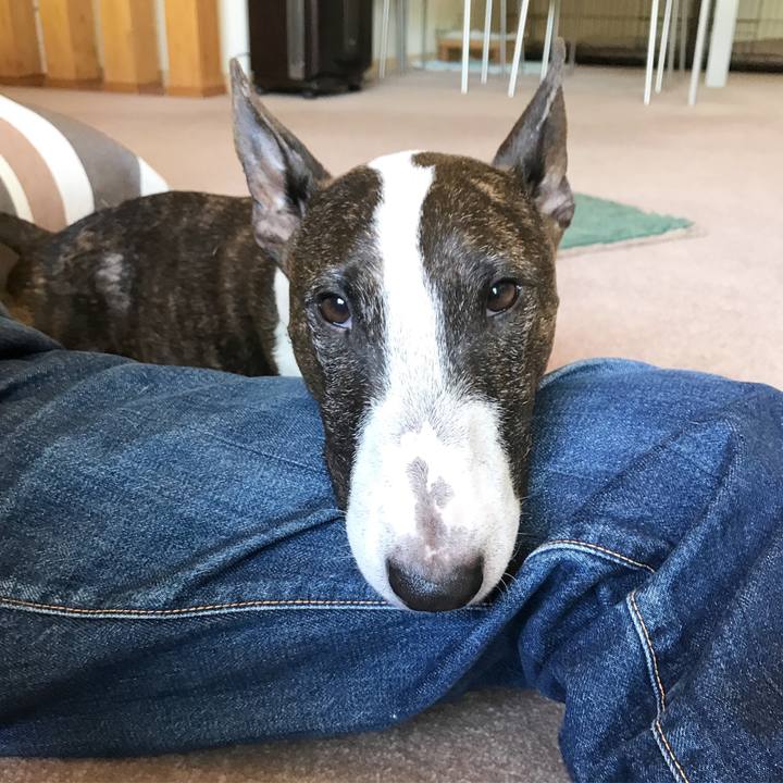 9acf2477 2cea 45d7 ac56 acd7450359bb