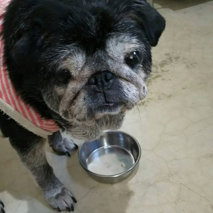 9acfb6b6 0d79 4d18 a0e6 b871b15c9c0b