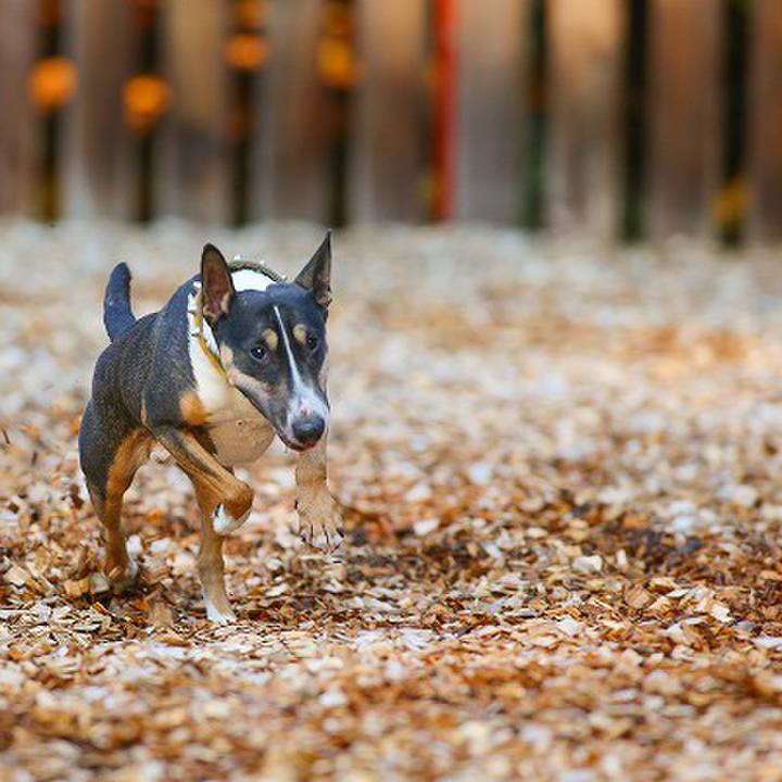 9ad02406 2e8c 482c 99e3 54be87f1fa0e