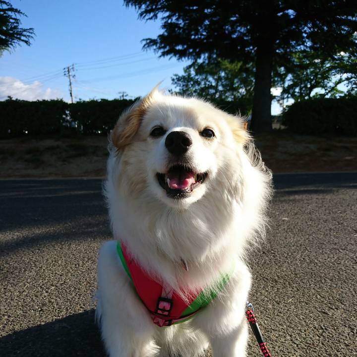 9ad0283b c10a 42b2 8617 241fcf025dfb