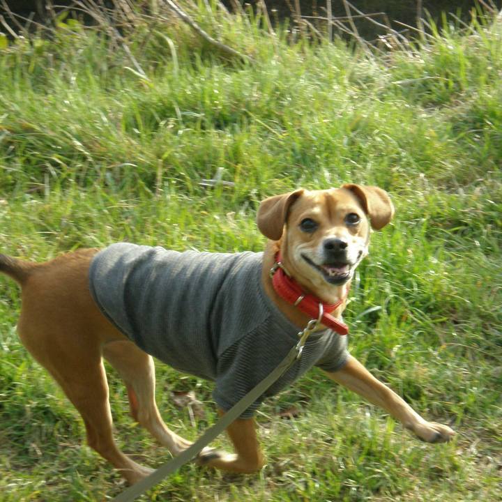 9ad073c2 54cf 446d a6cb 65cc3efe9ada