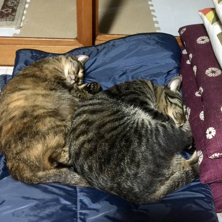 9ad0b26f 288f 46df 9002 606a92187d2e