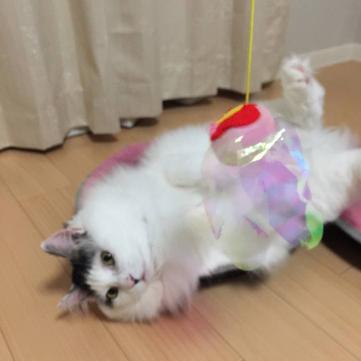 9ad37135 2df7 4a54 985d 3468f47fa2e2