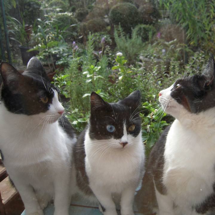 9ad3d09a ef64 46d5 a7be 8e653de0b941