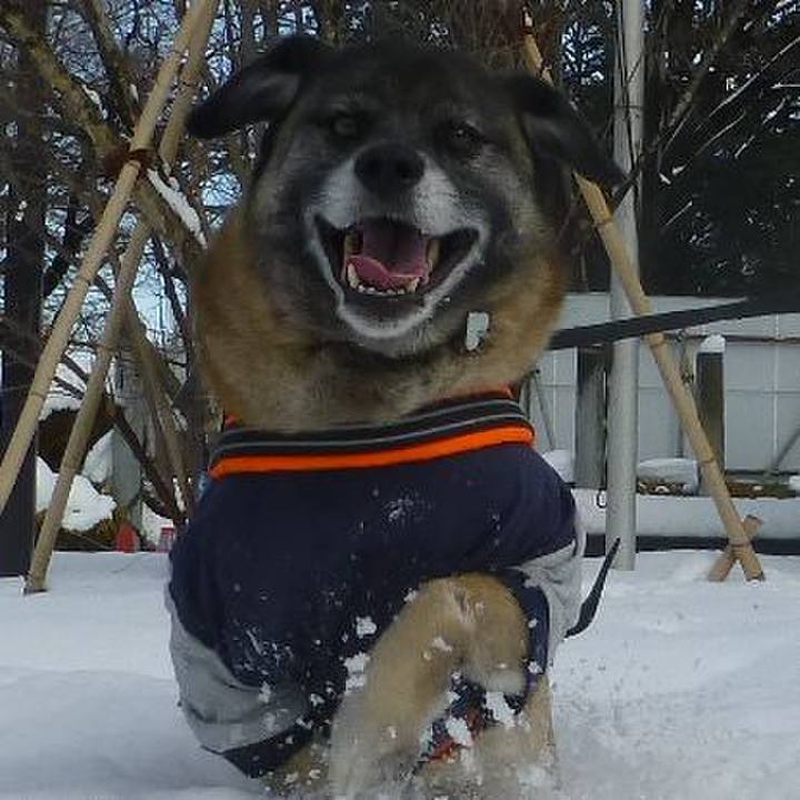 9ad429e6 ec1e 4632 a78c f5b4dc48f3dd