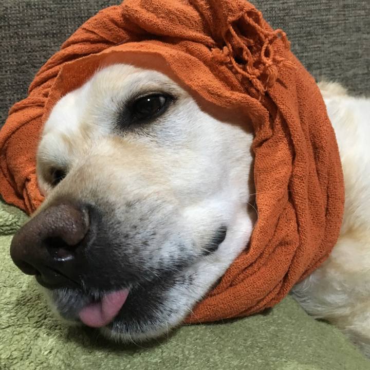 9ad443a3 21c1 40ac 8bc5 090ca4880e69