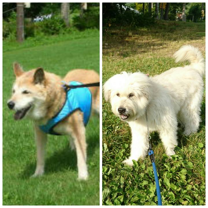 9ad47557 7fe8 47f6 b311 0a4859fc449a