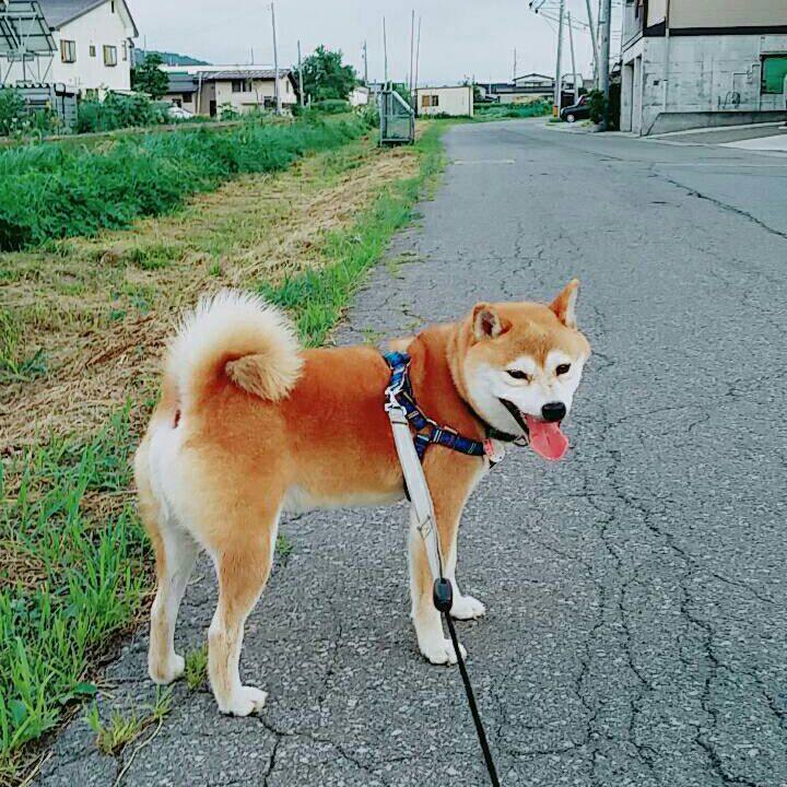 9ad51707 6d08 4c2a 943b 5b1a6449e1e6