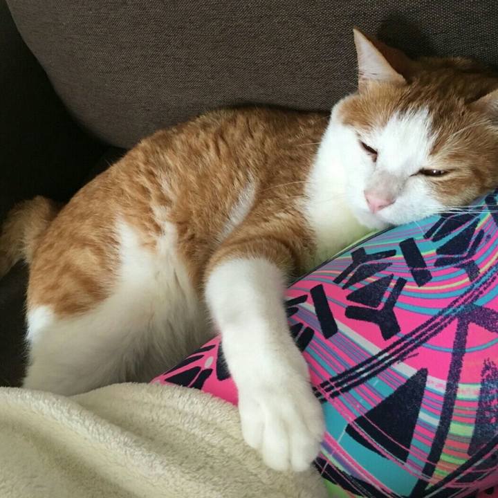 9ad5b263 60fd 4061 8179 9b8a62db2268