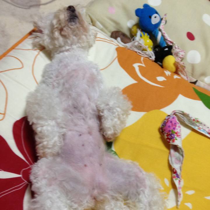 9ad5df29 eb88 4962 803c 018ae340c852