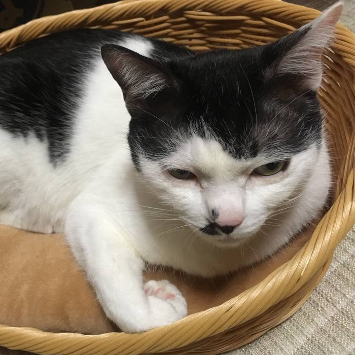 9ad61801 9ca1 458e a4ad b1c9be6850a6