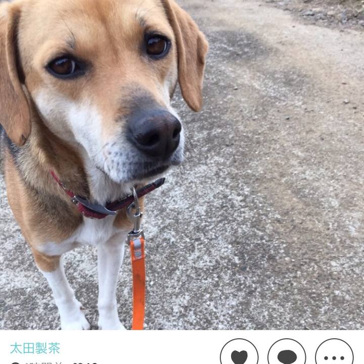 9ad62e34 25e8 4bea bb81 4db9662b6e54