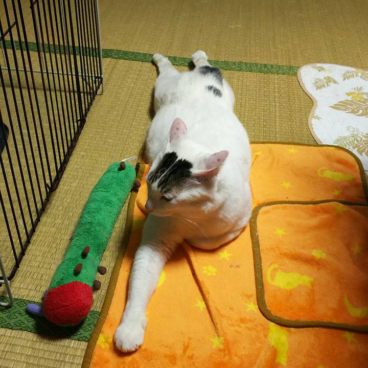 9ad63b98 e91e 42af 81b5 0dacf0aa4d74