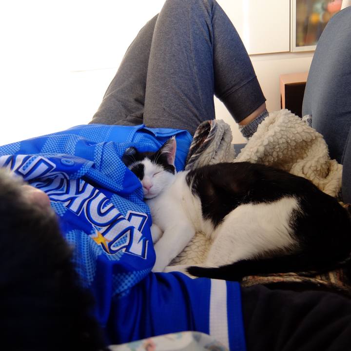 9ad78f3d 5da8 485f 9080 c045da494ffb