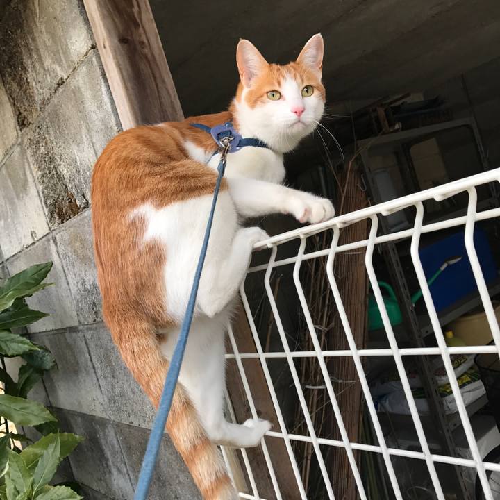 9ad7de69 2734 4641 a677 d70cb0d96bd9