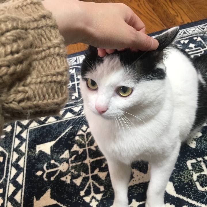 9ad7ef79 2897 485b acd5 f4417137715b