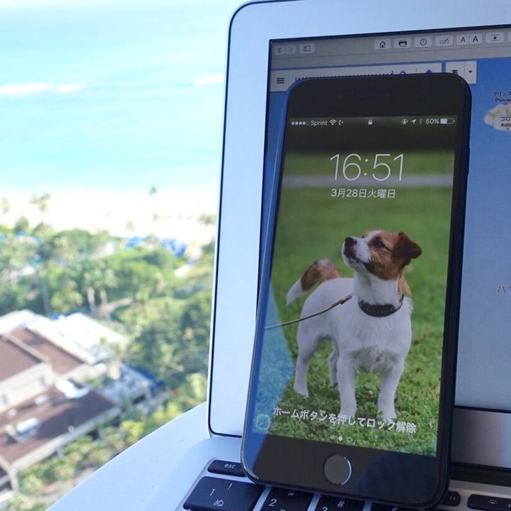 9ad88d50 036b 422b a492 29a6f56a21b8