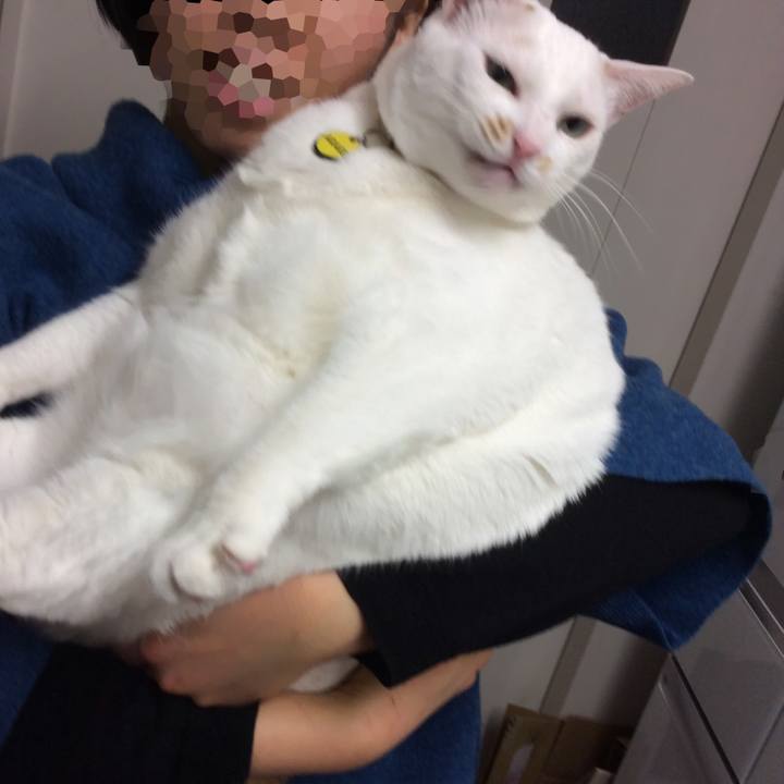 9ad891c2 eba3 4d3f 8d9d 69ff6d571cb9