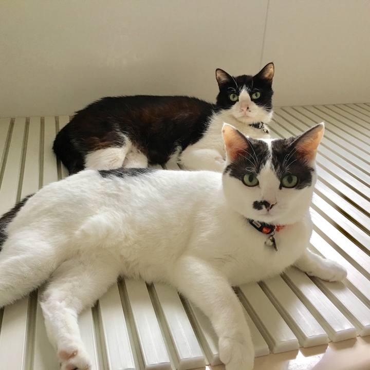 9ad8f48d 9b74 4c26 8fdd 24f9eb1f945d