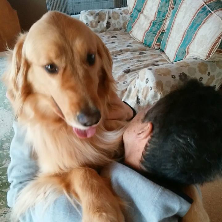 9ad94f73 19c2 4def b1fb 7827cbd76416