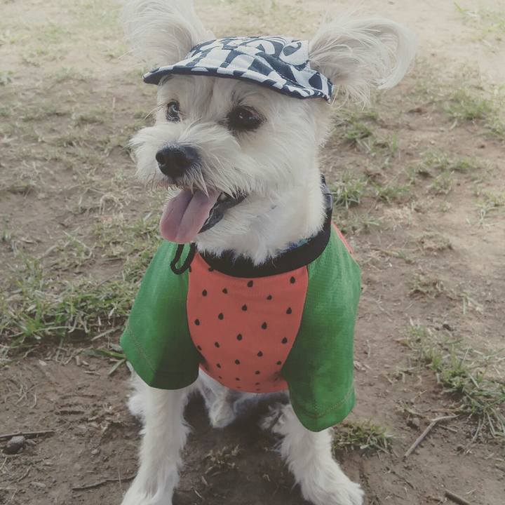 9ad9c2c6 bca3 4112 9c8e 2011e7bf9437