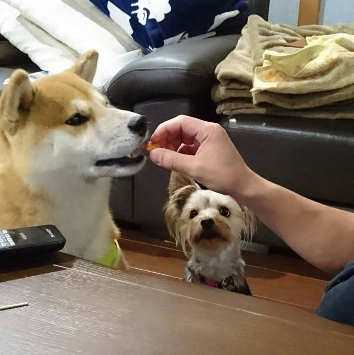 9ada5ca4 4294 4fe4 9e7d b49bfd428e54