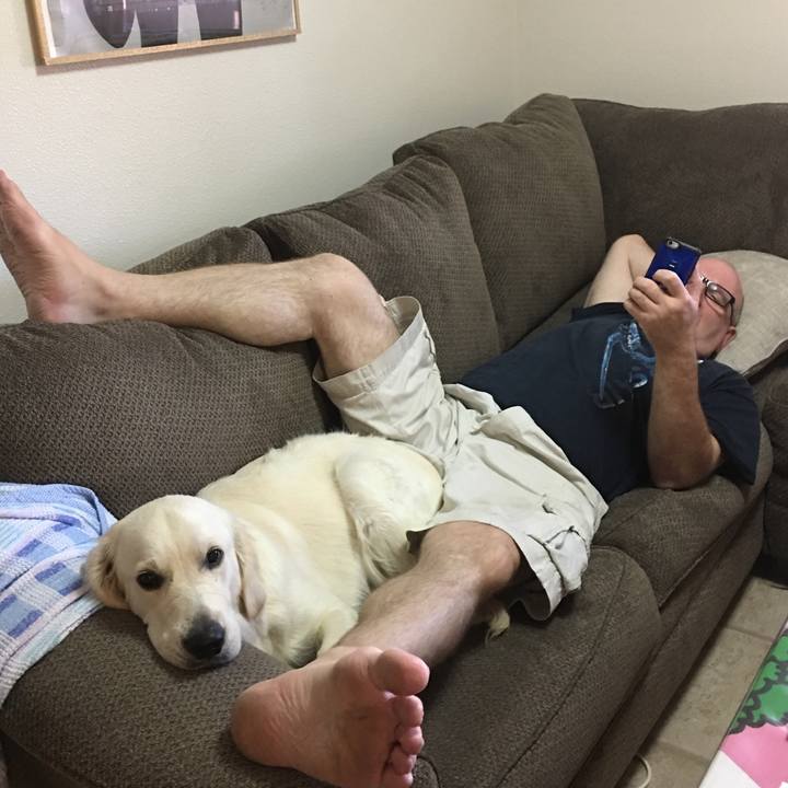 9ada9919 6b46 4148 8101 660809464bc9