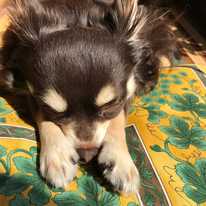 9adb167f f7a7 4b9d bbcf 4dd24279c906