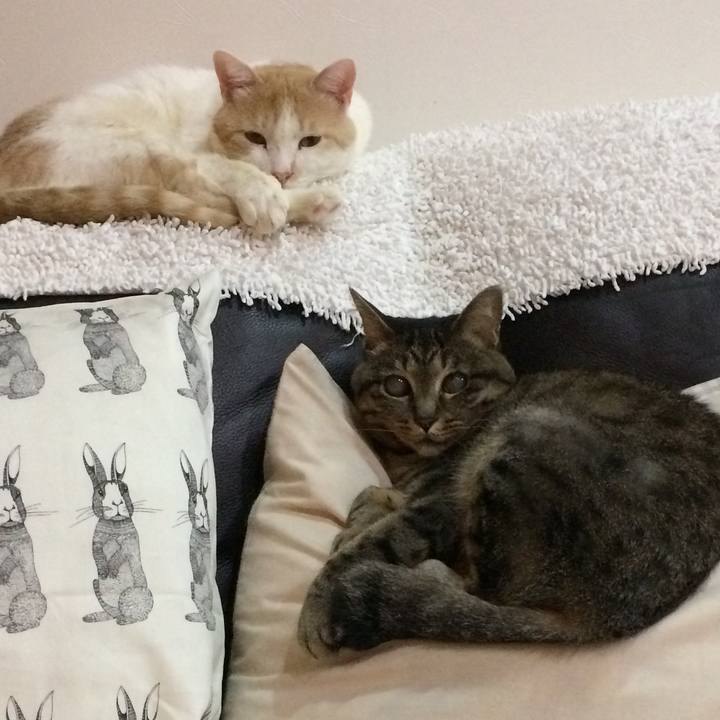 9adb3385 7618 4e02 8a54 1ce0a6d0a41e