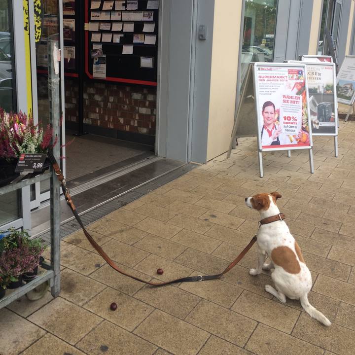 9adb3768 a575 4579 bcf3 fccaa803335a