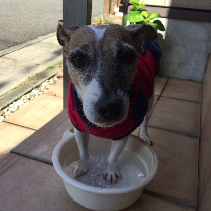 9adba131 0f56 4fc9 8f94 3ccd7bc1858a