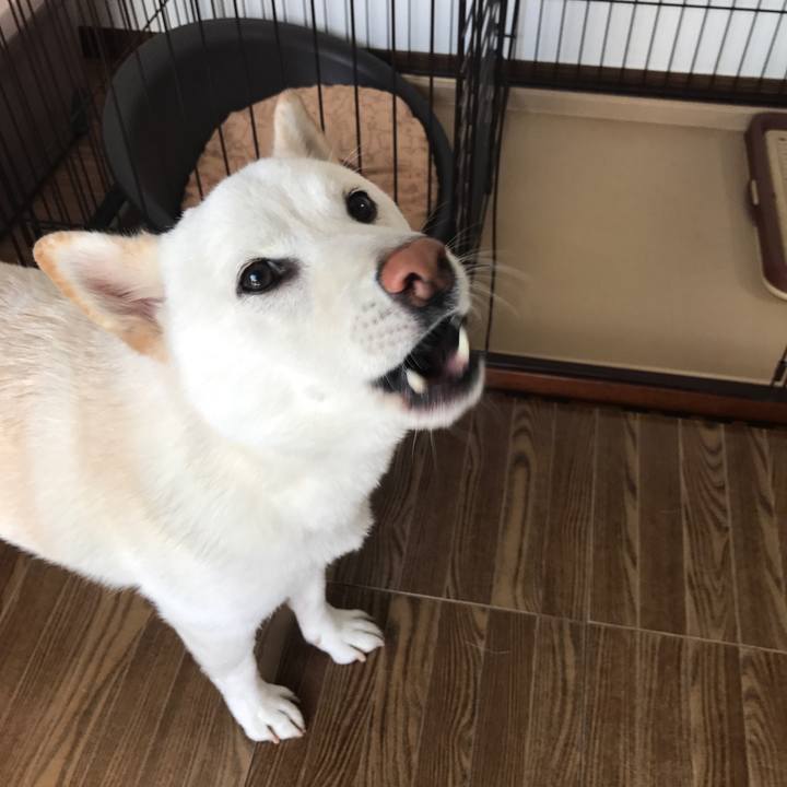 9adbd710 28db 4717 9f1b 9d317ccc743a