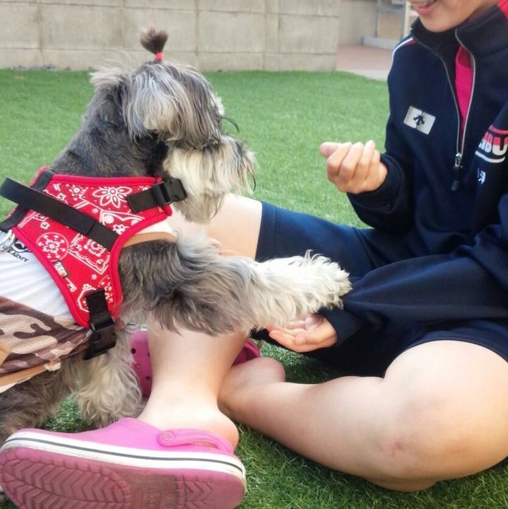 9adc5b2f 3d23 4f46 9d31 009ca9247774