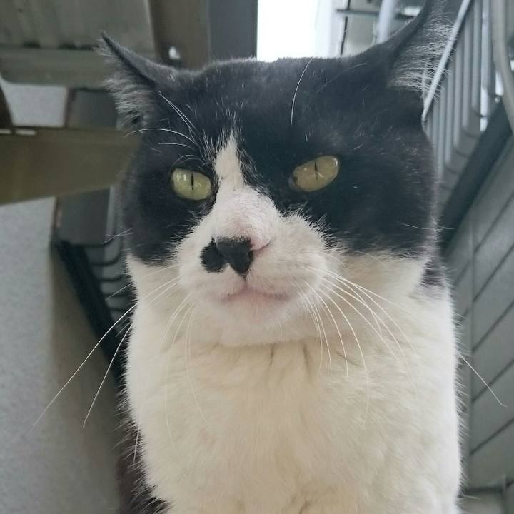 9adc9123 7ebf 4764 bf90 3739961e9dc5