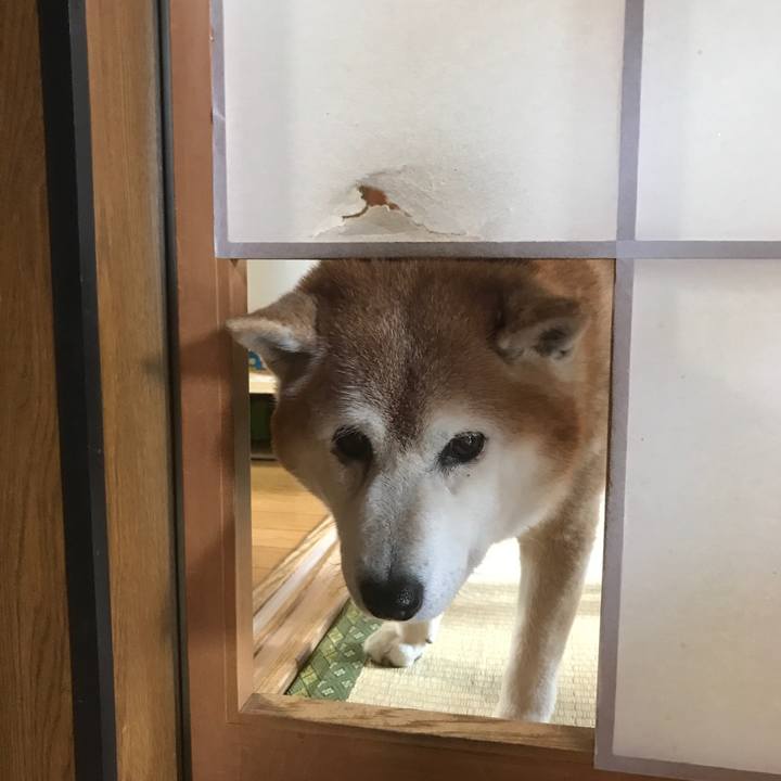 9adca83c c94e 4ec7 8d7e d4d8b1cca4f9