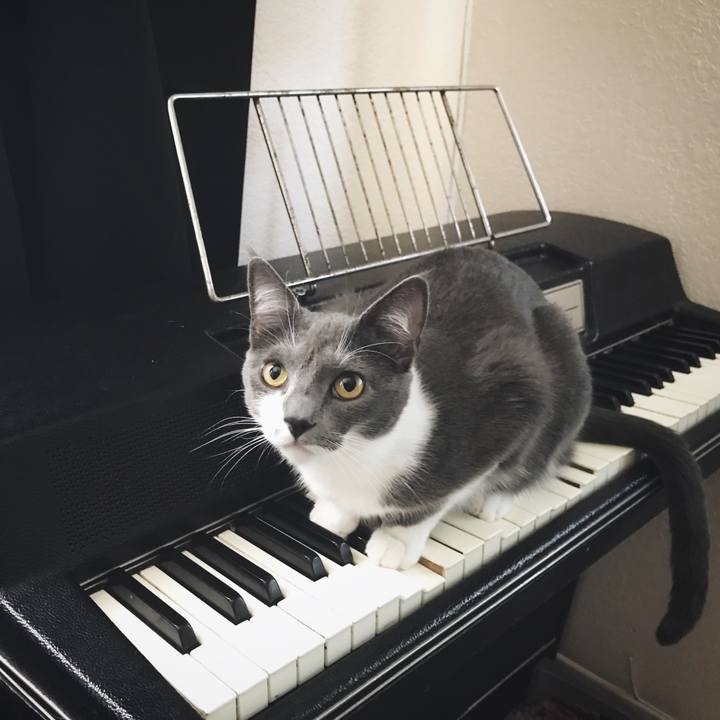 9add0d10 4f7e 4e30 a483 fb2901e2983d