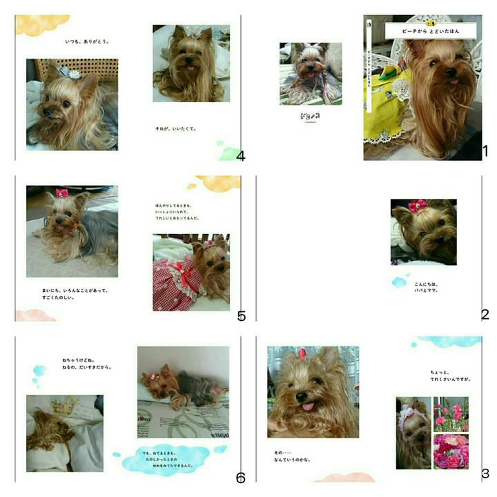 9add3366 68f4 4581 a49f fdec258c0536