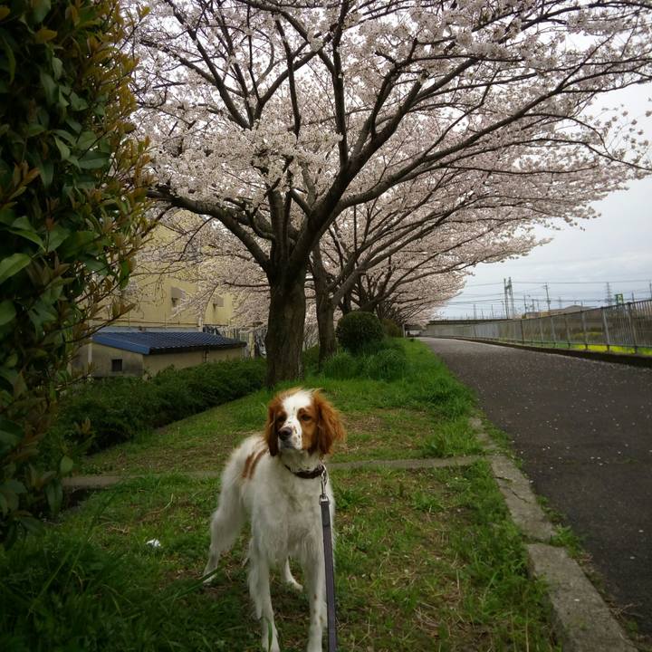 9add718c 6cbd 4f69 83fb e223018977fa