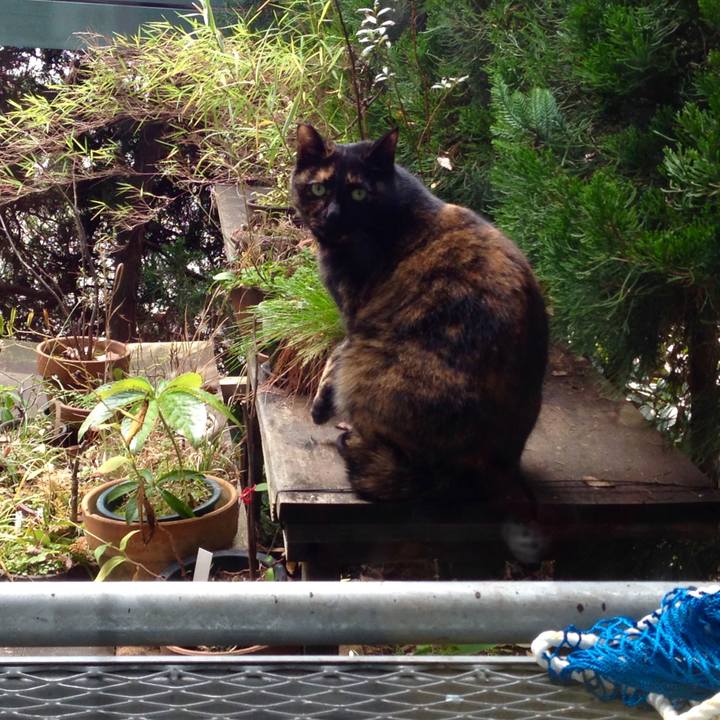 9ade56c4 b8a4 4259 9581 dab6c8a0ffad