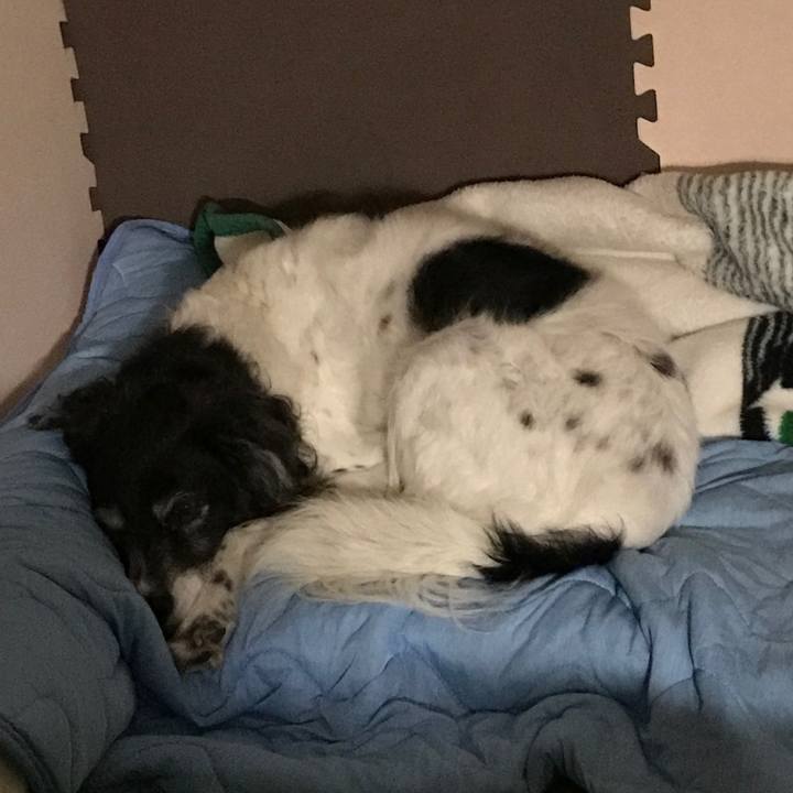 9ade88b2 a65d 4a9b 8372 7294eb0ab005