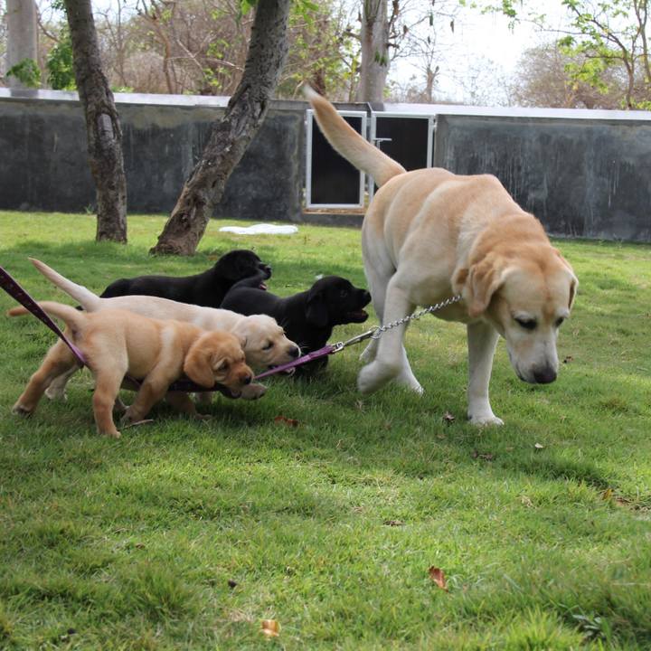 9adece1b 3130 42d9 89e4 f7889f00e379