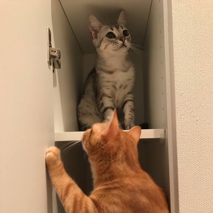 9adf4b98 a390 4f88 88eb 1f5e454afaa8