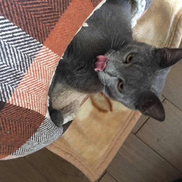 9ae00df5 c693 4f89 b3e5 1b138231b9a0