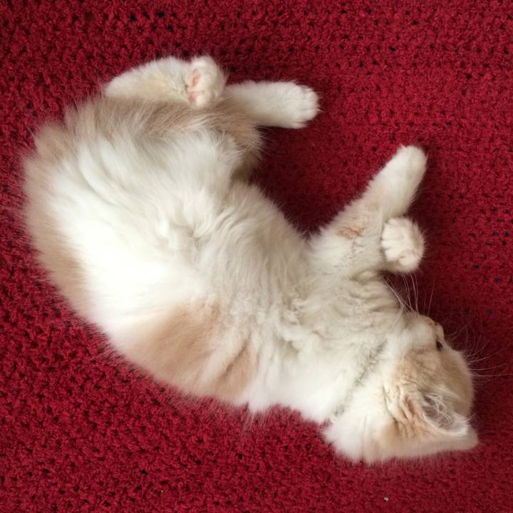 9ae022c9 e901 4234 989f 027ae9372b57