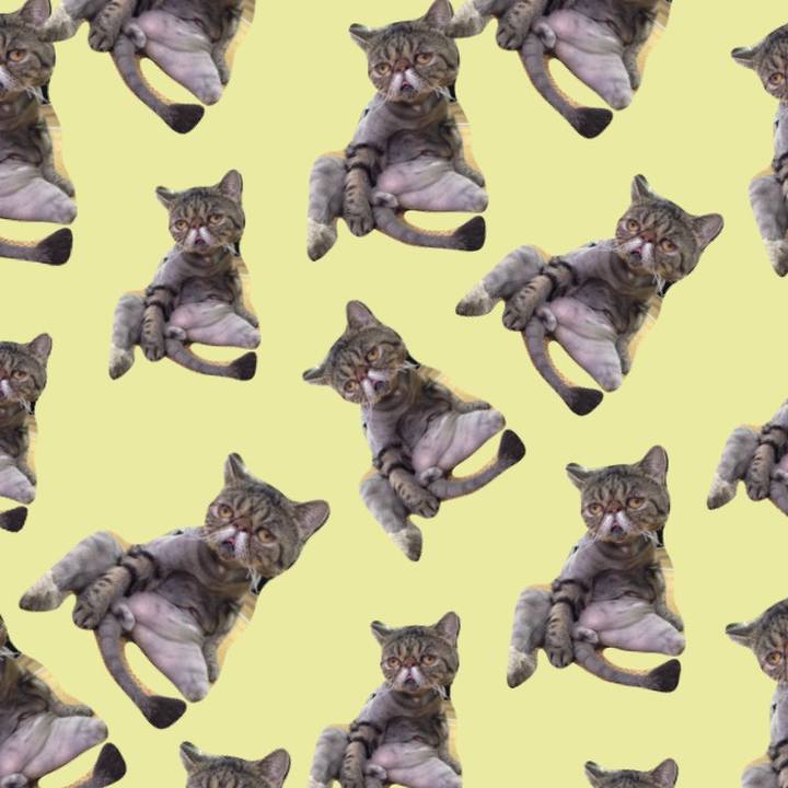 9ae09d6e f576 4a8d 8ff9 7db3f843465c