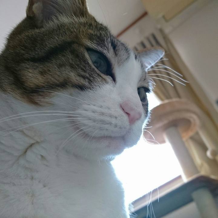 9ae0a9d6 3dc7 447b a4fa 4899641ed05e