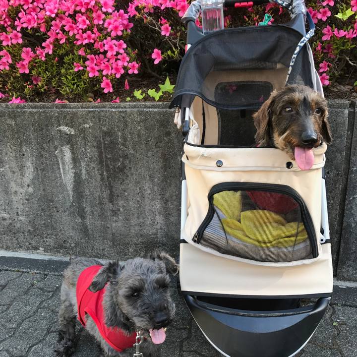 9ae0b5f6 1fe5 438d b77f 72012af6cd05