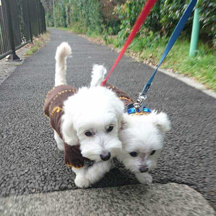 9ae14aa6 ca03 448b a656 1f85138dfd85